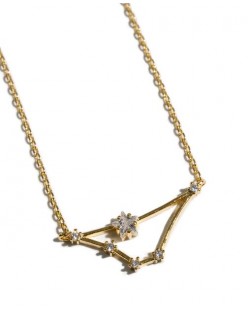 Capricorn 14 karat gold dipped zodiac necklace